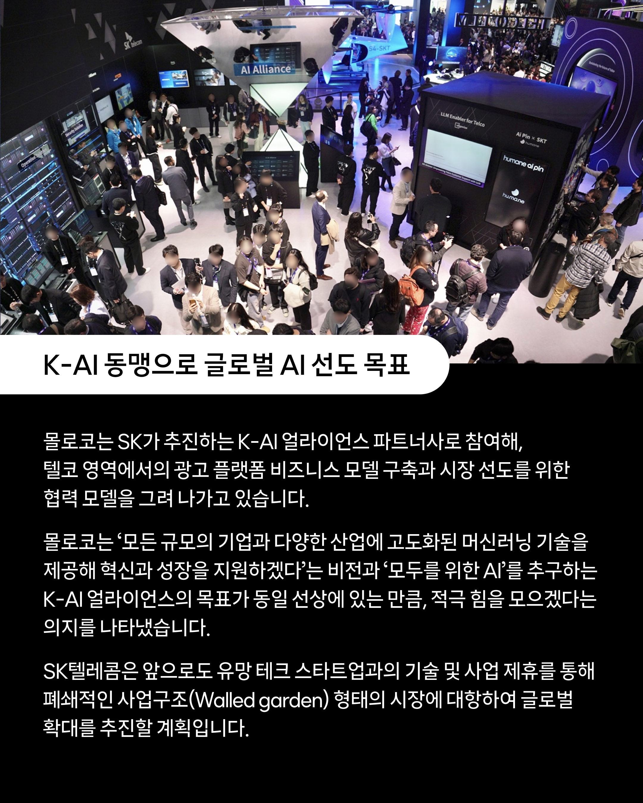 몰로코